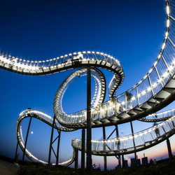 Tiger&Turtle